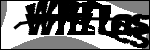 متن برای شناسایی