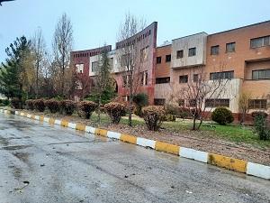 پاییز در دانشکده دامپزشکی