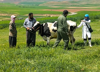 بازتاب رسانه ایی اردوی جهادی دامپزشکی دانشگاه رازی در روستاهای توابع  شهرستان سنقر