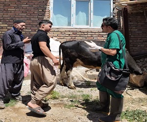 برگزاری اردو جهادی در روستاهای منطقه باوله شهرستان سنقر وکلیایی