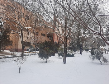 زمستان دانشکده دامپزشکی