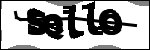 متن برای شناسایی
